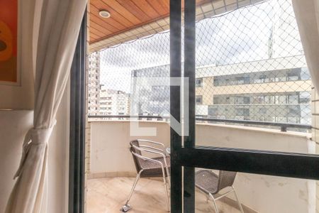 Varanda da Sala de apartamento para alugar com 3 quartos, 87m² em Lourdes, Belo Horizonte