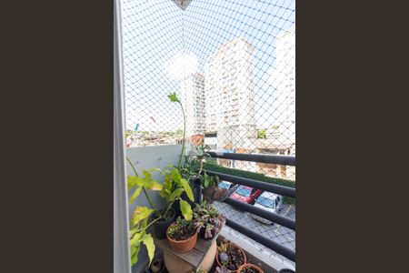 Apartamento à venda com 56m², 2 quartos e 1 vaga Apartamento à venda com 56m², 2 quartos e 1 vagaSacada