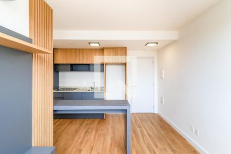 Sala de apartamento para alugar com 2 quartos, 48m² em Vila Sao Francisco (zona Sul), São Paulo