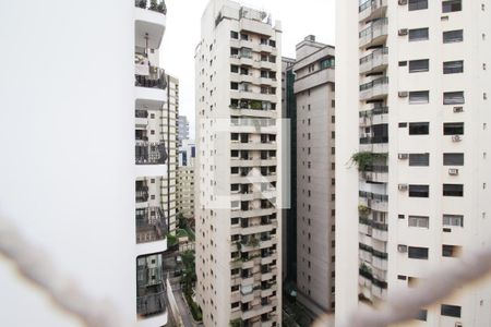 Vista de apartamento para alugar com 3 quartos, 113m² em Moema, São Paulo