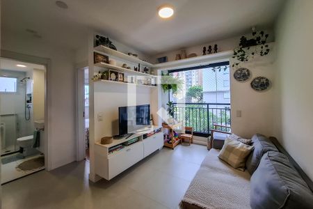 Sala de apartamento para alugar com 2 quartos, 46m² em Cambuci, São Paulo