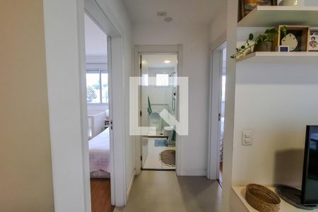 Corredor de apartamento para alugar com 2 quartos, 46m² em Cambuci, São Paulo