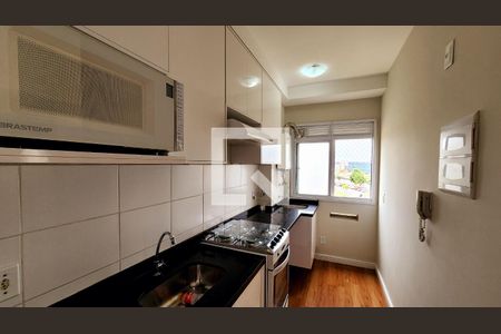 Cozinha e Área de Serviço de apartamento para alugar com 2 quartos, 50m² em Vila Nambi, Jundiaí