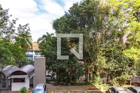 Vista Sala de apartamento para alugar com 3 quartos, 81m² em Cristal, Porto Alegre