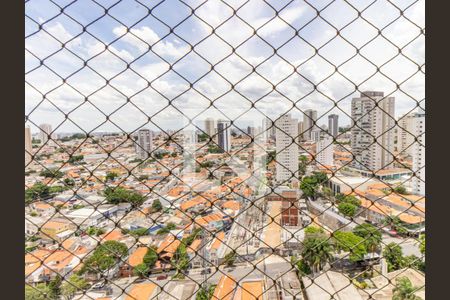 Varanda - Vista de apartamento para alugar com 3 quartos, 76m² em Vila Bertioga, São Paulo