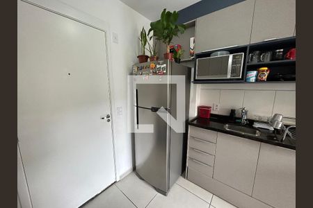 Cozinha de apartamento para alugar com 1 quarto, 26m² em Barra Funda, São Paulo