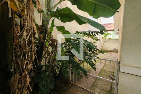 Casa de condomínio à venda com 85m², 3 quartos e 2 vagas Casa de condomínio à venda com 85m², 3 quartos e 2 vagasQuintal