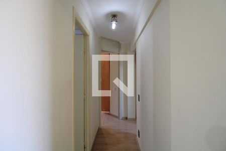 Corredor de apartamento para alugar com 3 quartos, 62m² em Jardim Taquaral, São Paulo