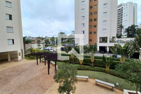 Vista do Quarto 1 de apartamento para alugar com 3 quartos, 75m² em Chácara Prado, Campinas