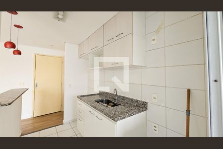 Cozinha de apartamento para alugar com 2 quartos, 55m² em Interlagos, São Paulo