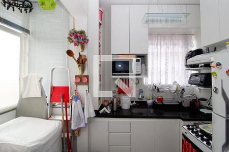 cozinha de apartamento para alugar com 1 quarto, 50m² em Santo Antônio, Belo Horizonte