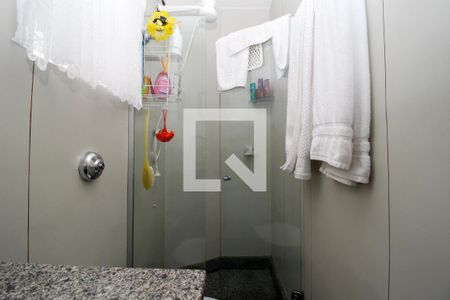 Banheiro de apartamento para alugar com 1 quarto, 50m² em Santo Antônio, Belo Horizonte