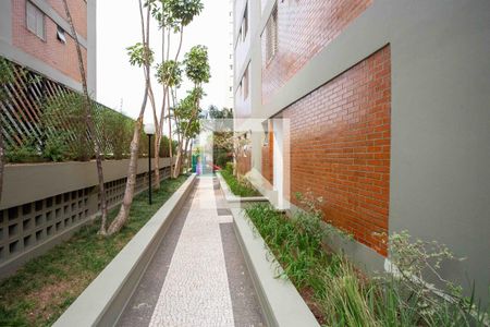 Apartamento para alugar com 64m², 2 quartos e 1 vaga Apartamento para alugar com 64m², 2 quartos e 1 vagaÁrea comum