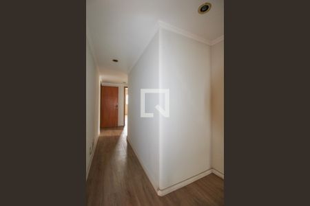 Corredor de apartamento à venda com 4 quartos, 188m² em Cambuí, Campinas