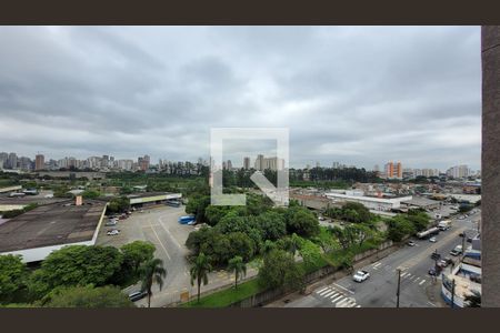 Vista de apartamento para alugar com 2 quartos, 50m² em Vila Metalúrgica, Santo André