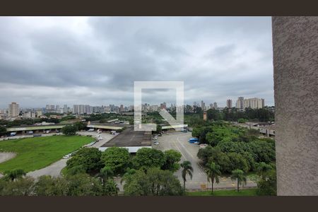 Vista de apartamento para alugar com 2 quartos, 50m² em Vila Metalúrgica, Santo André