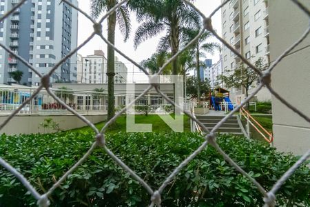 Vista da Varanda de apartamento para alugar com 3 quartos, 68m² em Santa Terezinha, São Bernardo do Campo