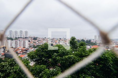 Vista da Varanda da Sala de apartamento para alugar com 3 quartos, 96m² em Vila Sonia, São Paulo