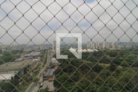 Vista da varanda de apartamento à venda com 3 quartos, 149m² em Campo Grande, São Paulo