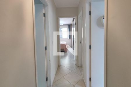 Corredor Quartos de apartamento à venda com 3 quartos, 77m² em Jardim Santa Eudoxia, Campinas