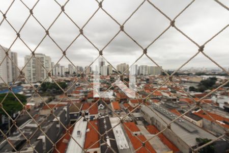 Varanda - Vista  de apartamento para alugar com 3 quartos, 81m² em Maranhão, São Paulo