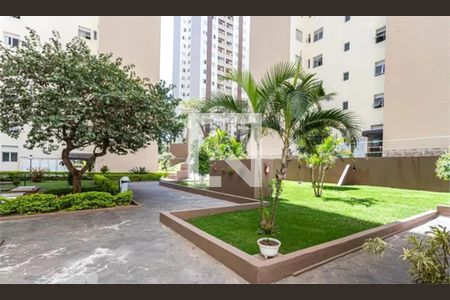 Apartamento à venda com 3 quartos, 65m² em Vila Dionisia, São Paulo