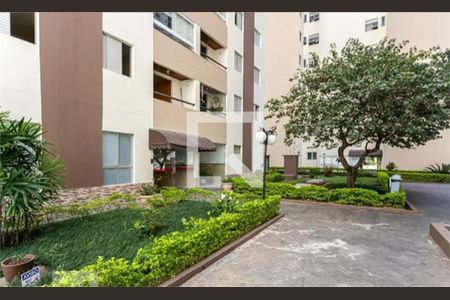 Apartamento à venda com 3 quartos, 65m² em Vila Dionisia, São Paulo