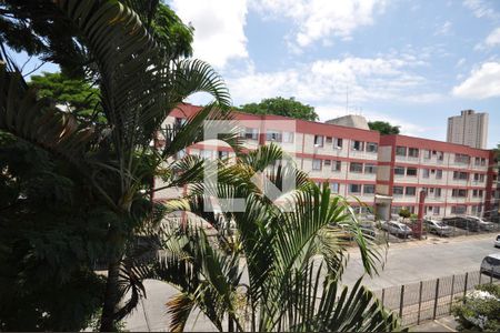 Vista do Quarto 1 de apartamento à venda com 2 quartos, 55m² em Vila Constança, São Paulo