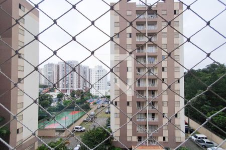 Varanda da Sala de apartamento para alugar com 3 quartos, 68m² em Baeta Neves, São Bernardo do Campo