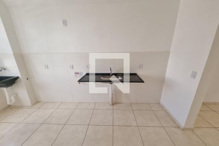 Cozinha - Lavanderia de apartamento para alugar com 2 quartos, 45m² em Antonio Marincek, Ribeirão Preto