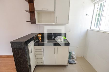 Cozinha de apartamento para alugar com 2 quartos, 52m² em Santa Branca, Belo Horizonte