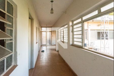 Corredor de casa à venda com 8 quartos, 943m² em Vila Santa Odila, Campinas