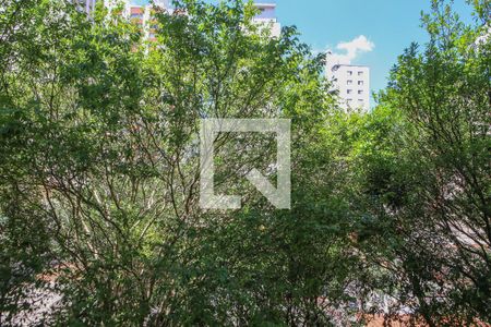 Vista da Sala de apartamento para alugar com 1 quarto, 50m² em Pompeia, São Paulo