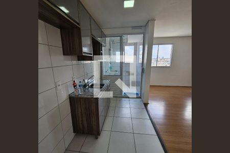 Cozinha de apartamento para alugar com 1 quarto, 32m² em Jardim Teresa, São Paulo