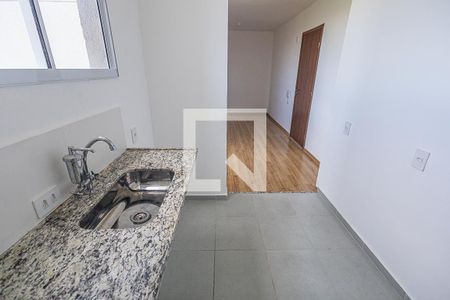 Cozinha de apartamento para alugar com 2 quartos, 45m² em Juliana, Belo Horizonte