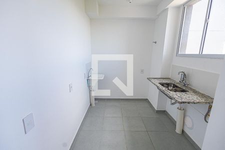 Cozinha de apartamento para alugar com 2 quartos, 45m² em Juliana, Belo Horizonte