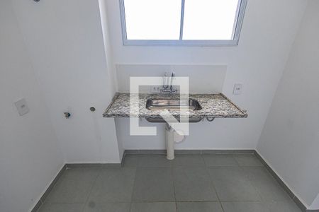 Cozinha de apartamento para alugar com 2 quartos, 45m² em Juliana, Belo Horizonte