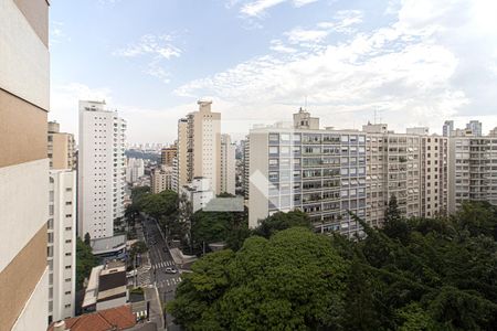 vistas_1 de apartamento para alugar com 3 quartos, 258m² em Aclimação, São Paulo