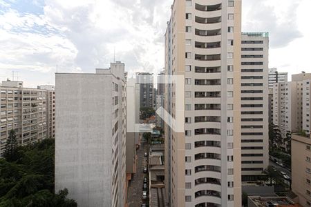 vistas_2 de apartamento para alugar com 3 quartos, 258m² em Aclimação, São Paulo