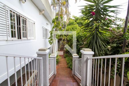 Casa para alugar com 4 quartos, 230m² em Jardim Carlos Gomes, Campinas