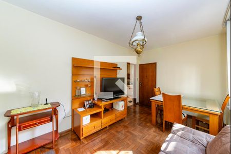 Sala de apartamento à venda com 3 quartos, 80m² em Grajaú, Belo Horizonte