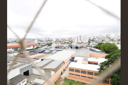 Vista da Varanda de apartamento para alugar com 3 quartos, 79m² em Vila Guilherme, São Paulo