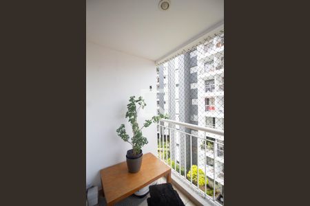 Varanda da Sala de apartamento para alugar com 3 quartos, 89m² em Jardim Mariliza, São Paulo