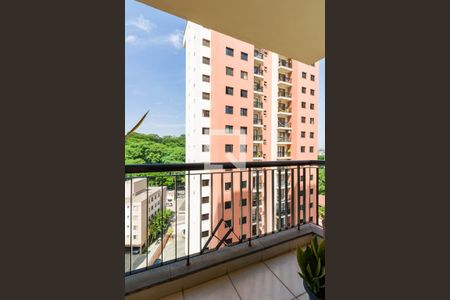 Apartamento à venda com 3 quartos, 77m² em Jardim Caboré, São Paulo