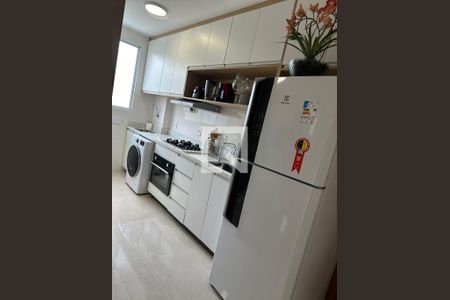 Cozinha/Lavanderia de apartamento para alugar com 2 quartos, 63m² em Estoril, Belo Horizonte