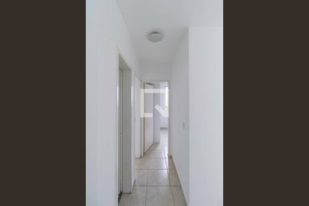 Corredor de apartamento à venda com 2 quartos, 60m² em Castelo, Belo Horizonte