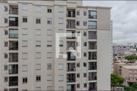 Vista do Quarto de apartamento à venda com 2 quartos, 60m² em Cambuci, São Paulo