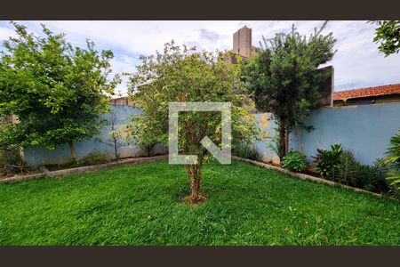 Casa à venda com 260m², 4 quartos e 5 vagas Casa à venda com 260m², 4 quartos e 5 vagasQuintal