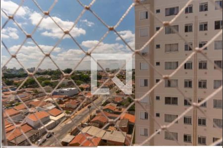 Foto 11 de apartamento à venda com 2 quartos, 45m² em Fundacao da Casa Popular, Campinas