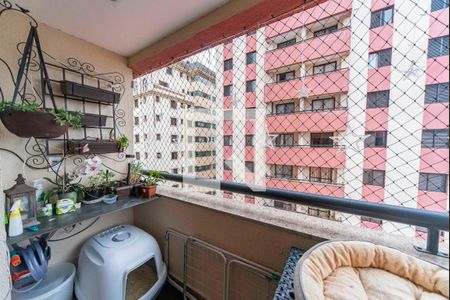 Varanda da Sala de apartamento à venda com 3 quartos, 75m² em Vila Gilda, Santo André